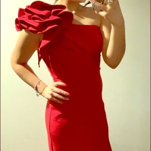 Ruby Red dress